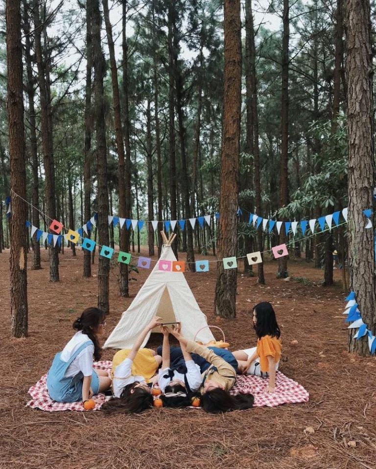 Picnic Tại Flamingo đại Lải